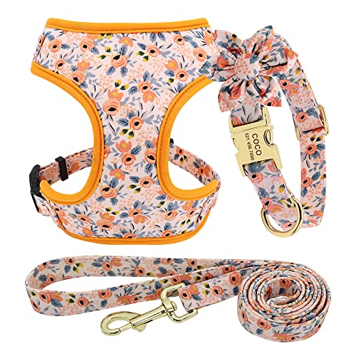 Haustierzubehör Verstellbarer Nylon -Netzkragen -Gurt Leine Set niedliche gedruckte Welpen Katzengurt Weste Leine for kleine mittelgroße Hunde (Color : Orange Sets, Size : A) von KASUK