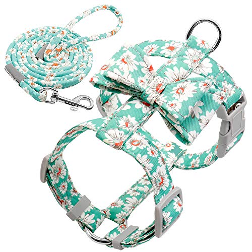 Haustierzubehör Verstellbarer Nylonhundkabelbaum Leine Set Pet Welpe Bowknotgurt Weste Walking Leine for kleine mittelgroße Hunde (Color : Green, Size : B) von KASUK