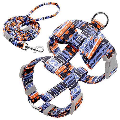 Haustierzubehör Verstellbarer Nylonhundkabelbaum Leine Set Pet Welpe Bowknotgurt Weste Walking Leine for kleine mittelgroße Hunde (Color : Orange, Size : B) von KASUK