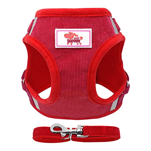 Haustierzubehör Weiches kleines Hundekabelbaum Welpenkatze Mesh Kabelbaum und Leine einstellbar for kleine mittelgroße Hunde (Color : Red, Size : B) von KASUK