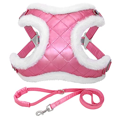 Haustierzubehör Winter pelziger Kleiner Hundegattheit Leine Set warme Haustier Brustgurt Hunde Katzenkabelbaumweste for kleine mittelgroße Hunde Katzen (Color : Pink, Size : M1) von KASUK