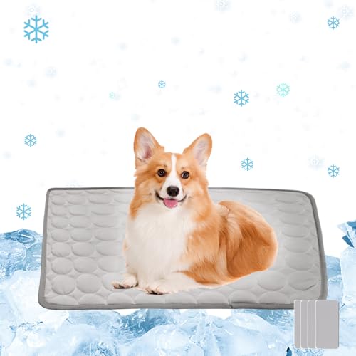 KATLKIU Hundekühler, 100 x 70 cm, mittelgroßer und großer Haustierkühler, automatische Kühlung, geeignet für den Außen- oder Autogebrauch, atmungsaktiver Eisseidenkühler, waschbar und nicht verformt KATLKIU Hundekühler, 100 x 70 cm, mittelgroßer und großer Haustierkühler, automatische Kühlung, geeignet für den Außen- oder Autogebrauch, atmungsaktiver Eisseidenkühler, waschbar und nicht verformt von KATLKIU