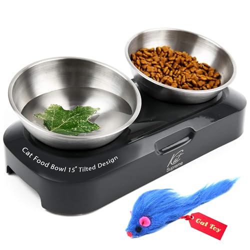 KatSupreme Tilted Cat Food Bowls - Raised Cat Food Bowls, Anti Vomiting Cat Bowl Set, Stainless Steel Cat Bowls with Stand, Orthopedic Cat Bowl, Elevated Cat Bowls Set von KATSUPREME