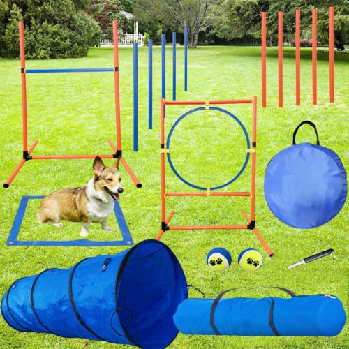 KATZEIST Hunde-Agility-Trainingsgerät, Hunde-Hinderniskurs, Starter-Set, Haustier-Sprungtraining, Indoor- und Outdoor-Spiele, inklusive Hundetunnel, Sprungkreis und Tragetasche, blau-orange von KATZEIST