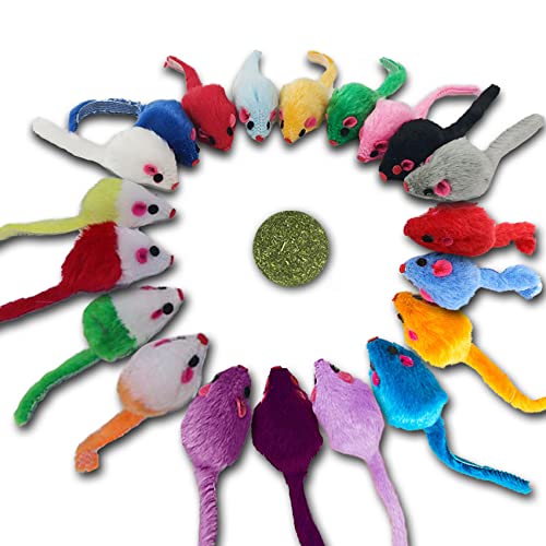 KAYUSITER Pelziges Katzenspielzeug, Mäuse, Rassel, interaktives Mausspielzeug für Innen, Katzenminze, Ball, Kätzchen, Kätzchen, Haustierspiel, verschiedene Farben KAYUSITER Pelziges Katzenspielzeug, Mäuse, Rassel, interaktives Mausspielzeug für Innen, Katzenminze, Ball, Kätzchen, Kätzchen, Haustierspiel, verschiedene Farben von KAYUSITER