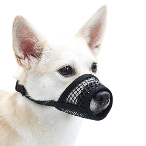Maulkorb für kleine Hunde, weicher Netz-Hundemaulkorb für kleine, mittelgroße Hunde, atmungsaktiv, weicher Maulkorb für Beißen, Kauen, bequeme Passform für Spaziergänge, Training, Fellpflege (S) Maulkorb für kleine Hunde, weicher Netz-Hundemaulkorb für kleine, mittelgroße Hunde, atmungsaktiv, weicher Maulkorb für Beißen, Kauen, bequeme Passform für Spaziergänge, Training, Fellpflege (S) von KAZGVN