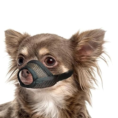 Maulkorb für kleine Hunde, weicher Netz-Hundemaulkorb für kleine, mittelgroße Hunde, atmungsaktiv, weicher Maulkorb für Beißen, Kauen, bequeme Passform für Spaziergänge, Training, Fellpflege (XS) Maulkorb für kleine Hunde, weicher Netz-Hundemaulkorb für kleine, mittelgroße Hunde, atmungsaktiv, weicher Maulkorb für Beißen, Kauen, bequeme Passform für Spaziergänge, Training, Fellpflege (XS) von KAZGVN