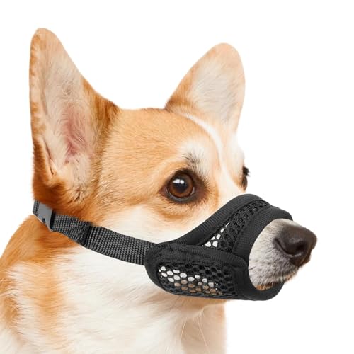 Maulkorb für kleine Hunde, weicher Netz-Hundemaulkorb für kleine und mittelgroße Hunde, atmungsaktiv, weicher Maulkorb zum Beißen, Kauen, bequeme Passform für Spaziergänge, Training, Fellpflege (M) Maulkorb für kleine Hunde, weicher Netz-Hundemaulkorb für kleine und mittelgroße Hunde, atmungsaktiv, weicher Maulkorb zum Beißen, Kauen, bequeme Passform für Spaziergänge, Training, Fellpflege (M) von KAZGVN