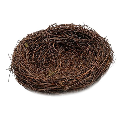 Handgefertigtes Vogelnest Haus Natur Handwerk Schweller Urlaub Dekoration 8 cm Handgefertigtes Vogelnest Haus Natur Handwerk Schweller Urlaub Dekoration 8 cm von KBOLAE