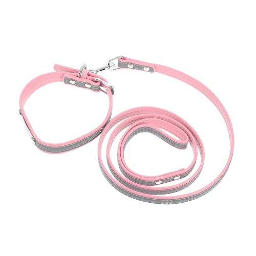 1 Set Reflective Hundekragen Set mit Leine für weiche und langlebige Haustier -Transportseile für mittelgroße kleine Hunde, die für den täglichen Gebrauch und die Aktivitäten bequem sind 1 Set Reflective Hundekragen Set mit Leine für weiche und langlebige Haustier -Transportseile für mittelgroße kleine Hunde, die für den täglichen Gebrauch und die Aktivitäten bequem sind von KCHSRKHXC