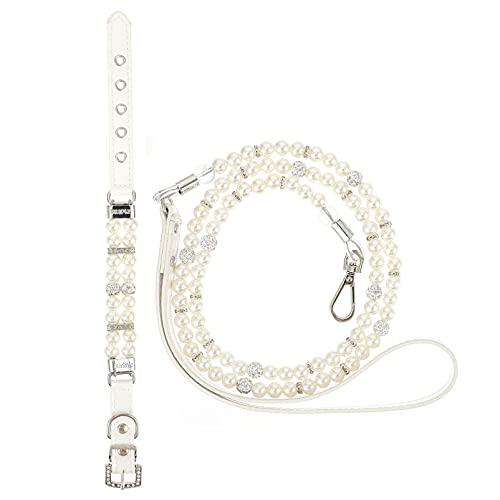 2pcs Hundeperlenkragen und Leinen -Set Verstellbarer Pet -Kleidung Stahldraht -Leine für Katzen und Hunde zum Gehen und Training 2pcs Hundeperlenkragen und Leinen -Set Verstellbarer Pet -Kleidung Stahldraht -Leine für Katzen und Hunde zum Gehen und Training von KCHSRKHXC