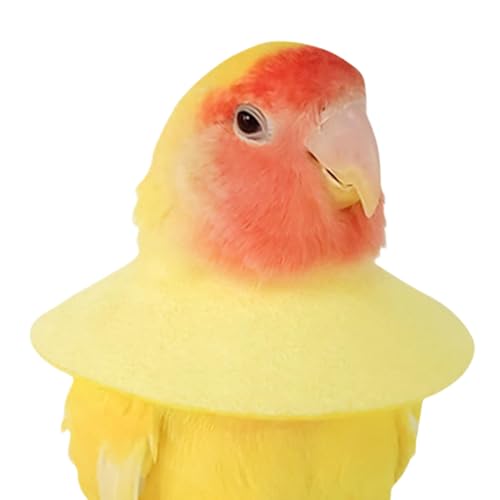 Vogelkegel-Halsband, Anti-Biss-Papagei, weicher Genesungskegel mit verstellbarer Passform, bequemer Anti-Zuck-Nackenschutz für Schutz und Heilung von Verletzungen, ideal für Wellensittiche von KCHSRKHXC