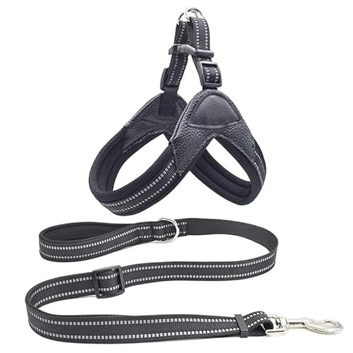 Kontrollleine Kleine und mittelgroße Hundeleine Rutschfeste Hundeleine Hundeleine for das Training Verstellbare Leine Schlupfleine Hundeleine for Welpen Mittelgroße und große Hunde Einfach anzulegen E Kontrollleine Kleine und mittelgroße Hundeleine Rutschfeste Hundeleine Hundeleine for das Training Verstellbare Leine Schlupfleine Hundeleine for Welpen Mittelgroße und große Hunde Einfach anzulegen E von KCHYCV
