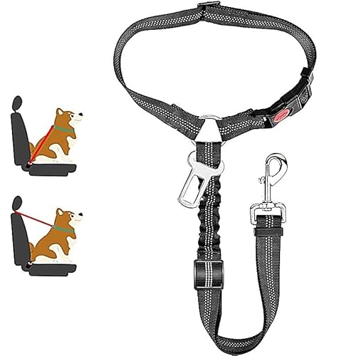 Kontrollleine Kleine und mittelgroße Hundeleine Rutschfeste Leine Hundeleine for Training Verstellbare Leine Schlupfleine Hundeleine for Welpen Mittelgroße und große Hunde Einfach anzulegen Einfach zu Kontrollleine Kleine und mittelgroße Hundeleine Rutschfeste Leine Hundeleine for Training Verstellbare Leine Schlupfleine Hundeleine for Welpen Mittelgroße und große Hunde Einfach anzulegen Einfach zu von KCHYCV