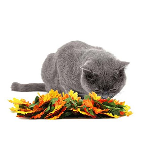 KEALLANS Hundematte aus Ahornblättern, Spielzeugmatte, Aktivität, Trainingsmatte für Hunde, lustig, perfekt für Stressabbau KEALLANS Hundematte aus Ahornblättern, Spielzeugmatte, Aktivität, Trainingsmatte für Hunde, lustig, perfekt für Stressabbau von KEALLANS