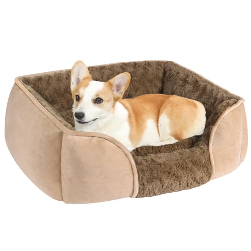 Extra großes Hundesofa, weiches Plüsch, beruhigendes Haustierbett, hohe Seite, waschbar, rutschfeste Unterseite für kleine, mittelgroße und große Hunde und Katzen (Khaki, 63 x 53 x 20 cm) von KEDAOLA