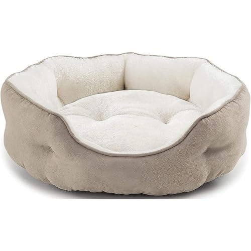 Katzenbett, weiches Plüsch-Haustierkissen mit Nackenrolle, waschbares Haustierbett, rutschfeste Unterseite für kleine, mittelgroße und große Hunde und Katzen (Khaki, S (50 x 48 x 15 cm) von KEDAOLA
