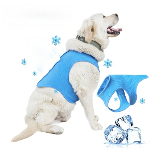 Kühlweste für Hunde, atmungsaktives Netzgewebe, kühlend und bequem bei heißem Wetter für kleine, mittelgroße und große Hunde, Ozeanblau, Größe M Kühlweste für Hunde, atmungsaktives Netzgewebe, kühlend und bequem bei heißem Wetter für kleine, mittelgroße und große Hunde, Ozeanblau, Größe M von KEDAOLA