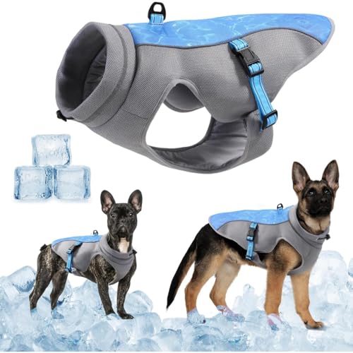Kühlweste für Hunde, leicht, atmungsaktiv, Kühlgeschirr, Netzgewebe, Kühljacke für große, mittelgroße und kleine Hunde, Spaziergänge im Freien (Schatzblau, Größe M) von KEDAOLA