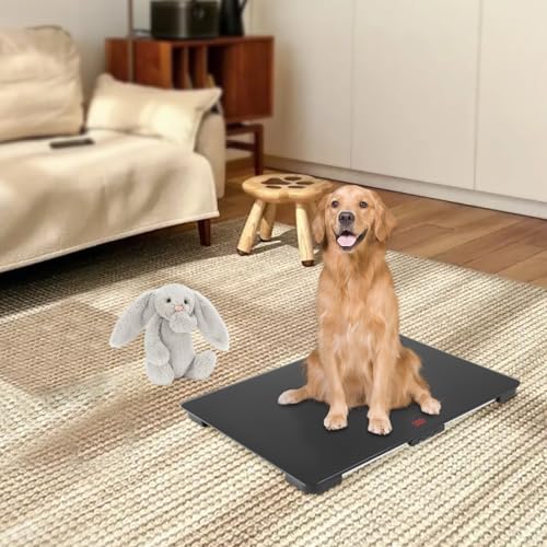 KEESUNG Haustierwaage Hundewaage mit LCD-Anzeige, Digitale Waage 100kg Körper Haustier Große Hunde Hundewaage Haustierwaage Tierwaage für Hunde, Katze, Zuhause und Tierklinik KEESUNG Haustierwaage Hundewaage mit LCD-Anzeige, Digitale Waage 100kg Körper Haustier Große Hunde Hundewaage Haustierwaage Tierwaage für Hunde, Katze, Zuhause und Tierklinik von KEESUNG