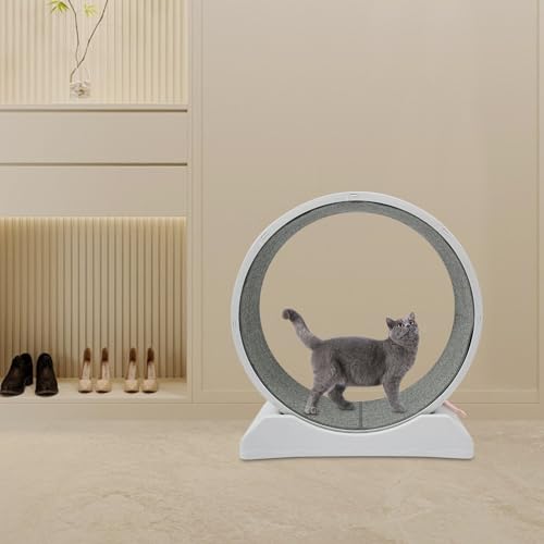 KEESUNG Katzenlaufrad laufrad, Großes Laufrad für Katzen Super Leise Katzen Laufrad Katzenrad aus Massivholz Katzenrad Katzenlaufrad mit Arretierung für Gesundheit Katze, Grey KEESUNG Katzenlaufrad laufrad, Großes Laufrad für Katzen Super Leise Katzen Laufrad Katzenrad aus Massivholz Katzenrad Katzenlaufrad mit Arretierung für Gesundheit Katze, Grey von KEESUNG