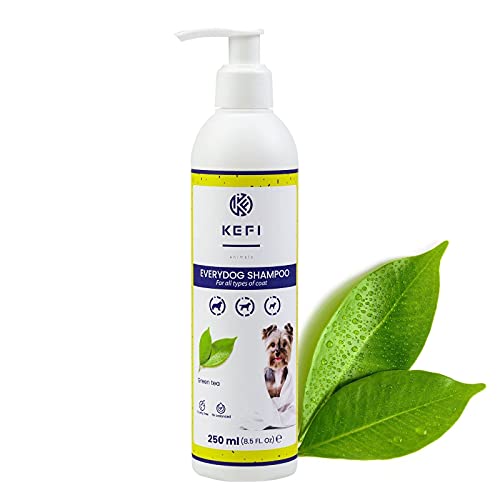 KEFI animals Everydog Hundeshampoo mit Frische Grünem Tee Duft, Neutraler pH-Wert, Fellpflege Mit Lanolin, Spendet der Haut Feuchtigkeit, Flasche mit Spender, 250 ml von KEFI animals