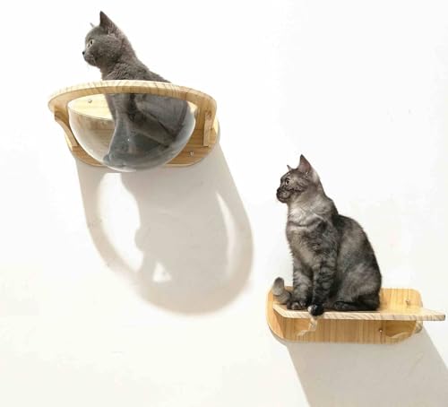 KEJIAWU Katzen Wandregale aus Holz, Katzenbett Bubble-Haus, Wandmöbel for Große Hauskatzen, Transparente Kapsel-Liege(3PCS) von KEJIAWU