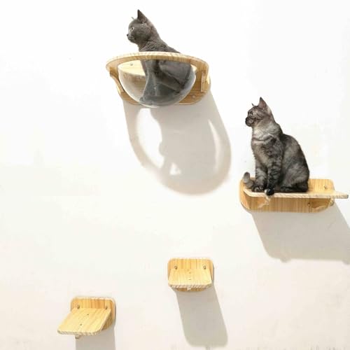 KEJIAWU Katzen Wandregale aus Holz, Katzenbett Bubble-Haus, Wandmöbel for Große Hauskatzen, Transparente Kapsel-Liege(6PCS) von KEJIAWU