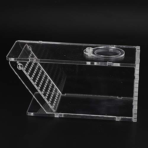 KENANLAN Acryl Aquarium Fisch Tank Süßwasser Krabbe Schädlingsfalle Catcher Box One Way Trap Box von KENANLAN