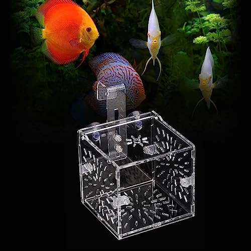 KENANLAN Fisch Isolationsbox, Transparente Acryl Aquarium Zucht-Isolationsbox Aquarium Brut Inkubator Halter (10CM * 10CM * 10CM) von KENANLAN