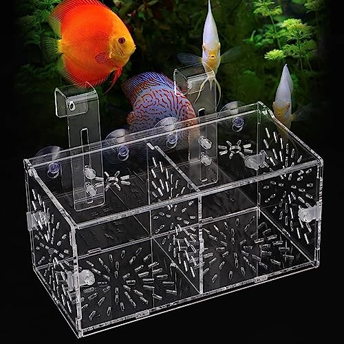 KENANLAN Fisch Isolationsbox, Transparente Acryl Aquarium Zucht-Isolationsbox Aquarium Brut Inkubator Halter (20CM * 10CM * 10CM) von KENANLAN
