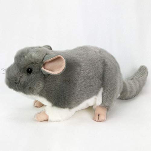 KENANLAN Süße Chinchilla Plüschspielzeug Weichgefüllte Tiere Puppe Großartige Mädchen Geeignet für Schlafzimmer Wohnzimmer Büro (Dunkelgrau) von KENANLAN