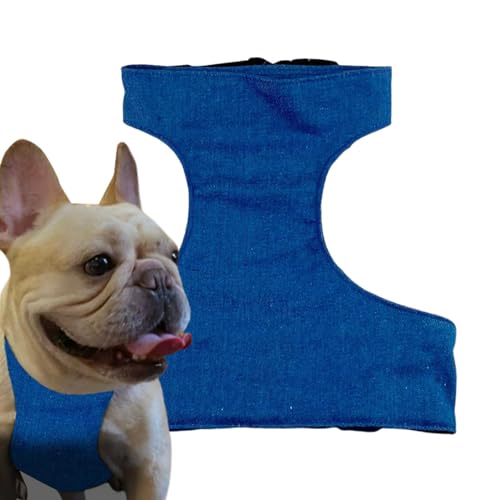 Kühlweste für Hunde, Kühlweste für mittelgroße Hunde, Hundekühlmantel mit 4 wiederverwendbaren Eisbeutel, verstellbarer und leichter Hundekühlmantel, Hundekühljacke für mittelgroße Hunde Kühlweste für Hunde, Kühlweste für mittelgroße Hunde, Hundekühlmantel mit 4 wiederverwendbaren Eisbeutel, verstellbarer und leichter Hundekühlmantel, Hundekühljacke für mittelgroße Hunde von KERALI