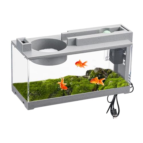 Mini-Aquarium, 31,9 x 16,5 cm, Desktop-Aquarium, Mini-Aquarium, leises kleines Aquarium mit Luftpumpe und integriertem Filter, klare Sicht, kleines Aquarium für Kampffische, Garnelen, Goldfische von KERALI
