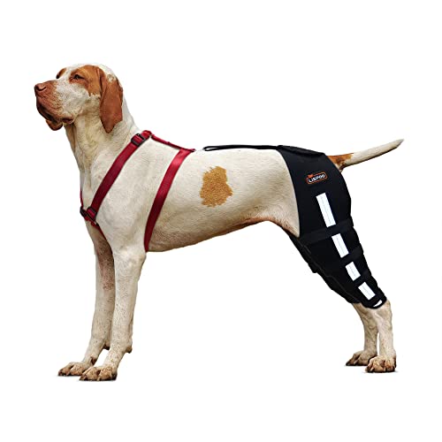 KERBIY Hunde-Kniebandage für Hunde mit gerissenem Rücken, Luxating Patella, Kreuzband, Hunde-Kniebandage bietet Unterstützung und Schutz, Hunde-Hinterbein-Bandage, lindert Gelenkschmerzen durch von KERBIY