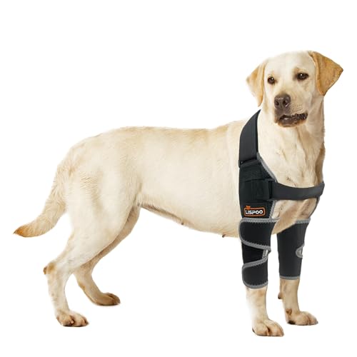 KERBIY LISPOO Hund Ellenbogenschutz Ellenbogen Dysplasie Bandage Hygroma Pads Schulterbandage Unterstützung Schutz für Vorderbeine Schwielen Hund Ellenbogenschützer für Arthritis Ellenbogenschutz M KERBIY LISPOO Hund Ellenbogenschutz Ellenbogen Dysplasie Bandage Hygroma Pads Schulterbandage Unterstützung Schutz für Vorderbeine Schwielen Hund Ellenbogenschützer für Arthritis Ellenbogenschutz M von KERBIY