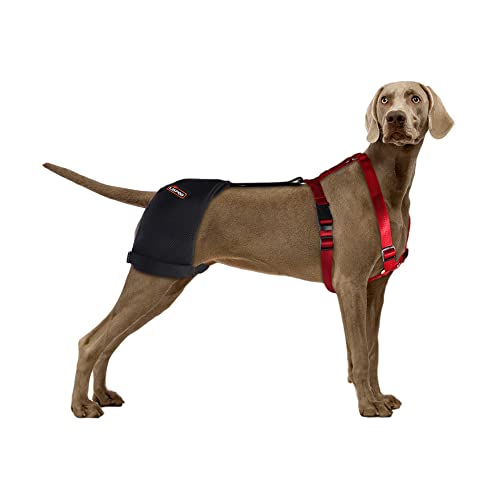 KERBIY LISPOO Hunde-Hüftbandage, Unterstützung für Hüftdysplasie, Luxating Patella, Arthritis, Hundehüftdysplasie-Bandage, stabilisiert und wärmt Gelenke, lindert Gelenkschmerzen, Hundebandage, Größe von KERBIY