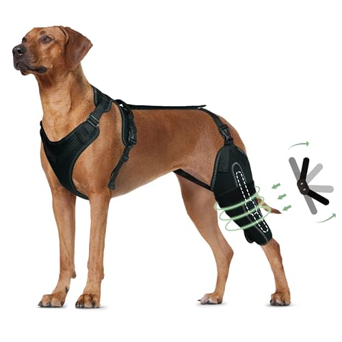 LISPOO Hunde-Kniebandage für gerissene Hinterbeine, Hundebein-Bandagen für das hintere Bein zur Unterstützung der Kniescheibe, Kreuzband, Kniebandage für Hunde, warmes Gelenk und Linderung von von KERBIY