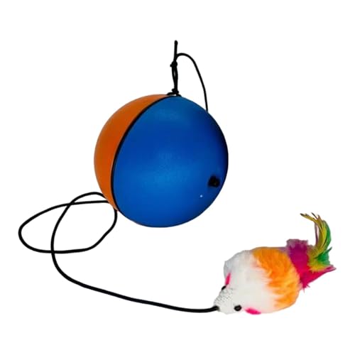 KESOTO Automatisch rollendes interaktives Ballspielzeug, automatisches Haustier-Verbrauchsspielzeug, tragbarer, Leichter Katzenfederball als Geschenk für zu, Blau Orange KESOTO Automatisch rollendes interaktives Ballspielzeug, automatisches Haustier-Verbrauchsspielzeug, tragbarer, Leichter Katzenfederball als Geschenk für zu, Blau Orange von KESOTO
