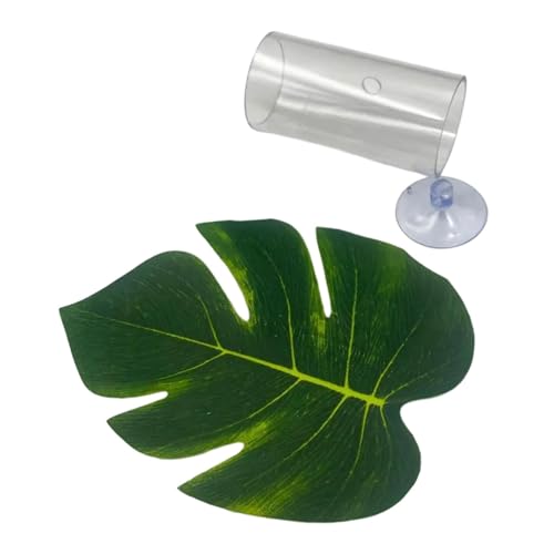 KESOTO Betta Tube Tunnel Interessantes Spielzeug Hideaway Hollow Betta Versteckhöhle KESOTO Betta Tube Tunnel Interessantes Spielzeug Hideaway Hollow Betta Versteckhöhle von KESOTO