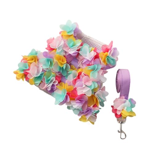KESOTO Florales Hundegeschirrkleid mit Leine, Hundeweste, Geschirr, Haustier, Katzengeschirr für Welpen, m KESOTO Florales Hundegeschirrkleid mit Leine, Hundeweste, Geschirr, Haustier, Katzengeschirr für Welpen, m von KESOTO