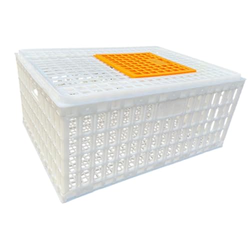 KESOTO Geflügel Träger Kiste Hühner Träger Kiste Zusammen Zustellen Hühner Kiste Transport Box für Geflügel Zucht Igel Rutin Huhn, Weiß Höhe 33cm KESOTO Geflügel Träger Kiste Hühner Träger Kiste Zusammen Zustellen Hühner Kiste Transport Box für Geflügel Zucht Igel Rutin Huhn, Weiß Höhe 33cm von KESOTO