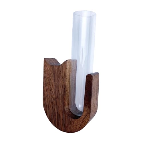KESOTO Katzenschnurrhaar Glas, Haustier Bart Sammler, Kühlschrank, Geschenk, Katzenbart Aufbewahrungsbox, Erinnerungs Katzenschnurrhaar Vase, Haustier Andenk, Color B KESOTO Katzenschnurrhaar Glas, Haustier Bart Sammler, Kühlschrank, Geschenk, Katzenbart Aufbewahrungsbox, Erinnerungs Katzenschnurrhaar Vase, Haustier Andenk, Color B von KESOTO