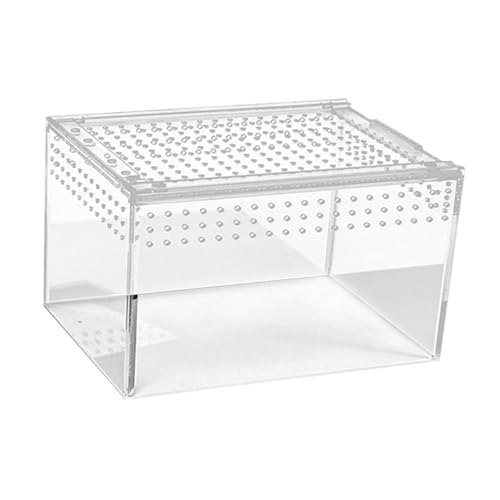 KESOTO Reptilien-Terrarium aus Acryl, Terrariumbehälter für Reptilien, Lebensraumbehälter aus Acryl für Schildkröten, S KESOTO Reptilien-Terrarium aus Acryl, Terrariumbehälter für Reptilien, Lebensraumbehälter aus Acryl für Schildkröten, S von KESOTO