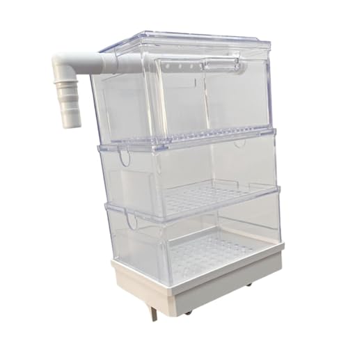 KESOTO Überlaufbox für Aquarien, Filterbox zum Aufhängen, Tropfwasser-Durchflussbox, transparente Filterbox, Tropfflussbox für kleine Aquarien, dreischichtig KESOTO Überlaufbox für Aquarien, Filterbox zum Aufhängen, Tropfwasser-Durchflussbox, transparente Filterbox, Tropfflussbox für kleine Aquarien, dreischichtig von KESOTO