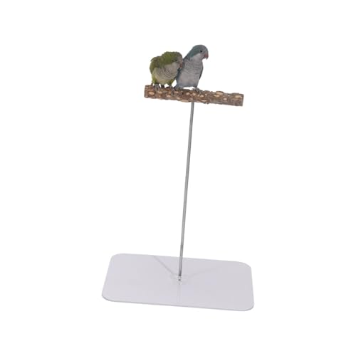 KESOTO Vogelsitzstangenständer, Papageienspielplatz, tragbar, aus Holz, beißspielzeug, Vogel-Spielstudio, Laufstall, Vogel-Spielständer für Kakadus, Quadrat, L KESOTO Vogelsitzstangenständer, Papageienspielplatz, tragbar, aus Holz, beißspielzeug, Vogel-Spielstudio, Laufstall, Vogel-Spielständer für Kakadus, Quadrat, L von KESOTO