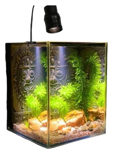 Fischschale, Fischglas, Fischtank, Fisch Schüssel Glas Aquarium Desktop Wohnzimmer Büro Schreibtisch Kampf Fisch Tank Fischschale, Fischglas, Fischtank, Fisch Schüssel Glas Aquarium Desktop Wohnzimmer Büro Schreibtisch Kampf Fisch Tank von KEuLen