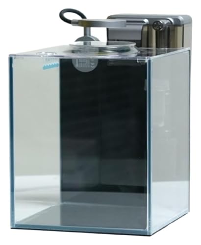 Fischschale, Fischglas, Fischtank, Fisch Schüssel Wohnzimmer Hause Desktop Büro Kleine Aquarium Mit Zubehör Fischschale, Fischglas, Fischtank, Fisch Schüssel Wohnzimmer Hause Desktop Büro Kleine Aquarium Mit Zubehör von KEuLen