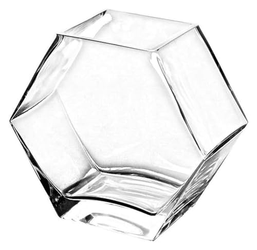 Fischschale, Fischglas, Fischtank, Fischglas, transparent, for den Schreibtisch, kleines Aquarium Fischschale, Fischglas, Fischtank, Fischglas, transparent, for den Schreibtisch, kleines Aquarium von KEuLen