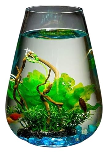 Fischschale, Fischglas, Fischtank, Fischschale Desktop Goldfisch Aquarium Kleine Aquarium Ornamente Fischschale, Fischglas, Fischtank, Fischschale Desktop Goldfisch Aquarium Kleine Aquarium Ornamente von KEuLen